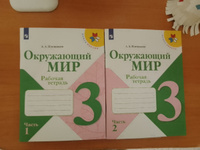 Окружающий мир 3 класс. Рабочая тетрадь в 2-х частях. Комплект из 2-х тетрадей. ФГОС. УМК "Школа России" | Плешаков Андрей Анатольевич #3, Мария М.