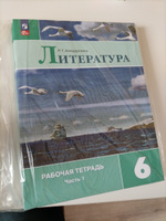 Литература 6 класс. Учебник. Комплект из 2-х частей к новому ФП. УМК "Литература Коровиной В.Я." | Полухина Валентина Павловна, Коровина Вера Яновна #4, Ульяна М.