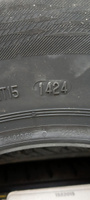 Torero MP47 Шины  летние 205/65  R15 94H #1, Александр П.