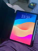 Чехол противоударный для iPad Pro 11 M4 2024, чехол книжка с отделом для стилуса #7, Александра В.