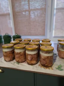 фото из отзыва покупателя