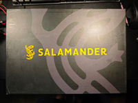 Полуботинки SALAMANDER #2, Дмитрий П.