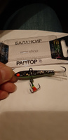 Балансир рыболовный ESOX RAPTOR 70мм, 22гр #31, Владимир