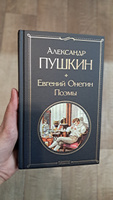 Евгений Онегин. Поэмы | Пушкин Александр Сергеевич #7, Анна С.