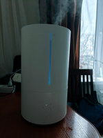 Xiaomi увлажнитель воздуха Mijia Smart Sterilization Humidifier 2 (MJJSQ05DY), белый (китайская версия) #76, Александр В.