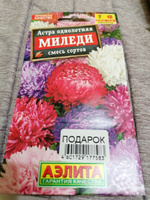 Набор семян цветов Цинния смесь 8 видов #18, Анна С.