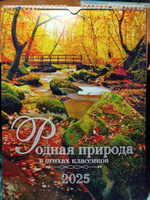 Календарь 2025 настенный перекидной на спирали - "Родная природа в стихах классиков" #8, Марина Р.