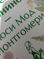 Аня из Зеленых Мезонинов. Подарочное издание | Монтгомери Люси Мод #2, Шауберт М.