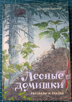 Лесные домишки. Рассказы и сказки | Бианки Виталий Валентинович #4, Olga P.