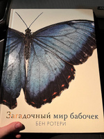 Загадочный мир бабочек | Ротери Бен #1, Екатерина Т.