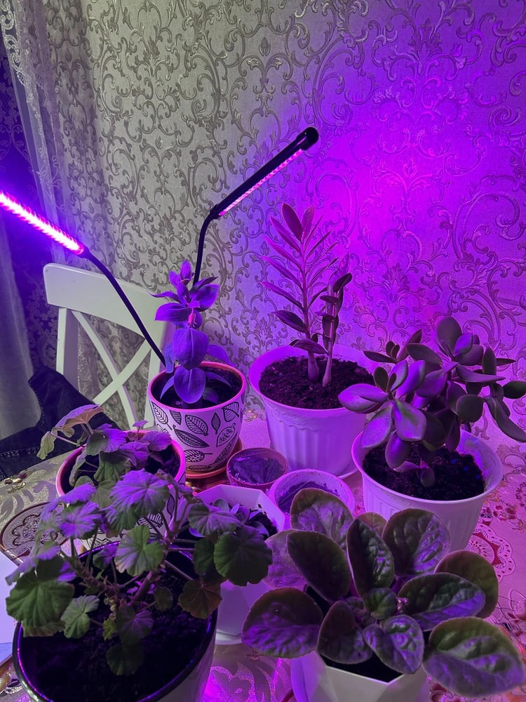 Фитолампа для растений / Фитосветильник 4 лампы / Светильник для ...