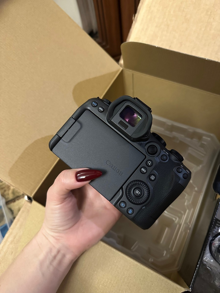 Фотоаппарат Canon EOS R6 Mark II Body купить на OZON по низкой цене ...
