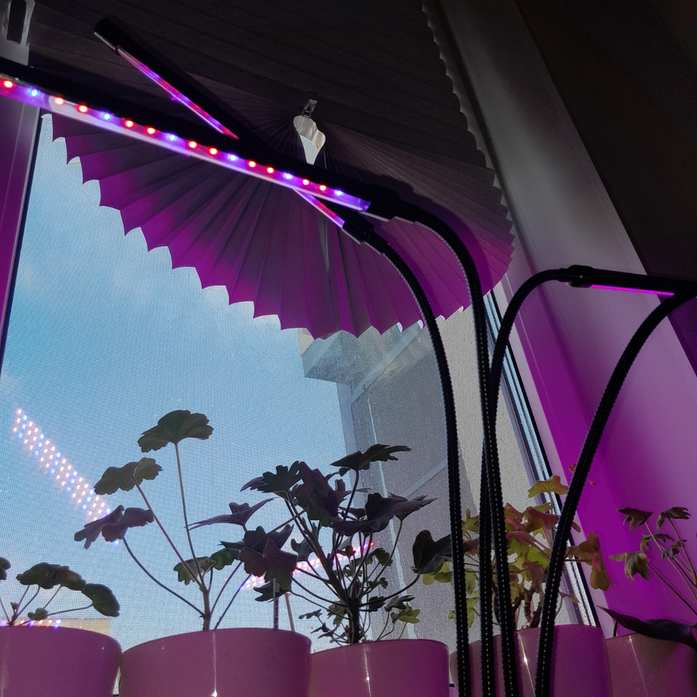 Фитолампа для растений светодиодная с адаптером на прищепке 4 лампы ...