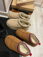 Тапочки UGG #19, Евгения К.