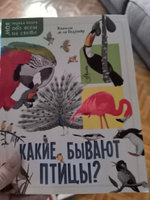 Какие бывают птицы? | Бедуайер Камилла де ла #2, Екатерина Б.