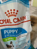 Сухой корм для щенков Royal X-Small Puppy для миниатюрных пород, 1,5 кг #35, Елена В.