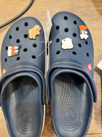 KLEPKI Джибитсы "Вся правда о медведях" для crocs, сабо, набор 10шт, джиббитсы для крокс #2, Светлана В.