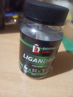 Пұтқа табынушылық және секс Менің есегімдегі үлкен ат әтеш