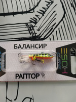 Балансир рыболовный ESOX RAPTOR 40мм, 7гр #101, Сергей М.