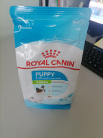 Сухой корм для щенков Royal Canin X-Small для миниатюрных пород, 500 г #41, Svetlana.