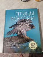 Птицы России  Большая иллюстрированная энциклопедия. | Матанцев Александр Николаевич #2, Трифанова А.