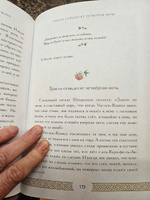 Тысяча и одна ночь. Коллекционное издание (переплет под натуральную кожу, закрашенный обрез с орнаментом, четыре вида тиснения) #5, Татьяна Ш