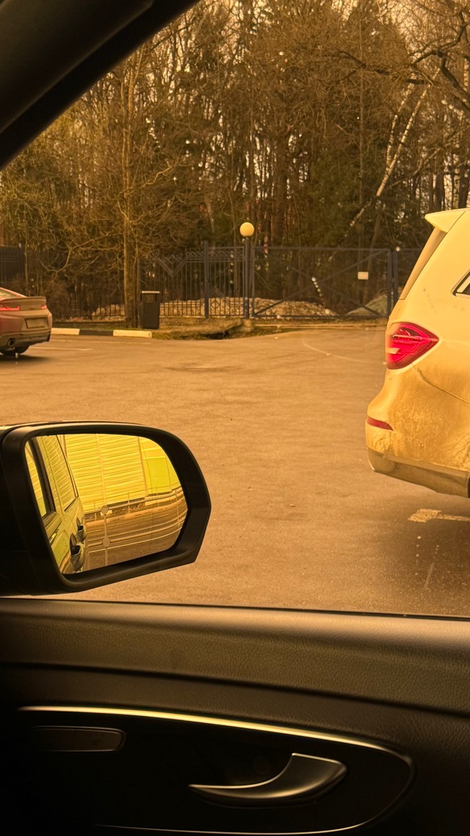 ���� ������ 