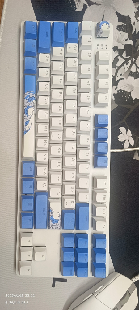 Игровая клавиатура Red Square Keyrox TKL Aquarius (RSQ-20036) купить на ...