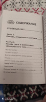 Книга Мудрости. Душевный свет. Оставаться или идти (новое оформление) | Виилма Лууле #7, Эльза Г.