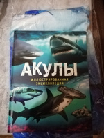 Акулы. Иллюстрированная энциклопедия | Мэйсон Пол #3, Виктор В.