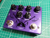 Caline CP-80 Reverb Delay | U Merkura
