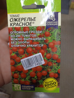 Семена Томат Ожерелье Красное (0,05 гр) - Семена Алтая #65, Анна М.