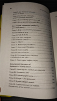 Ленинградский панк. Король и Шут, Бригадный Подряд, Народное Ополчение, Автоматические Удовлетворители, Отдел Самоискоренения, Дурное Влияние и Объект Насмешек глазами очевидца | Соя Антон Владимирович #2, Олег П.