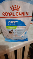 Сухой корм для щенков Royal Canin X-Small для миниатюрных пород, 500 г #40, Юлия А.