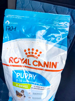 Сухой корм для щенков Royal X-Small Puppy для миниатюрных пород, 1,5 кг #32, Марина К.