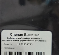 Вибратор виброяйцо женский с дистанционным управлением с телефона #17, Денис К.