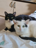 Благотворительный сертификат фонда "Хочу жить" #2, Юлия