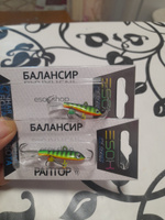 Балансир рыболовный ESOX RAPTOR 50мм, 11гр #19, Андрей И.