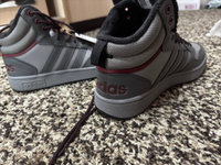 Кеды adidas Sportswear Hoops 3.0 Mid Wtr #39, dessetive