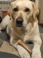 Благотворительный сертификат фонда "Хочу жить" #8, Яна З.