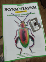 Жуки и пауки, Выпуск №28, Фиолетовый стеблевой жук #2, Олег К.