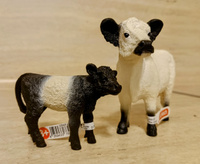 Schleich 13960 Галлоуэйская корова #13, Александр К.