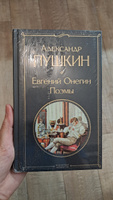 Евгений Онегин. Поэмы | Пушкин Александр Сергеевич #6, Анна С.