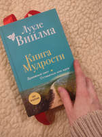 Книга Мудрости. Душевный свет. Оставаться или идти (новое оформление) | Виилма Лууле #1, Маргарита К.