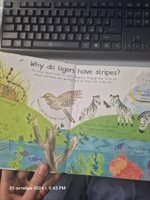 Usborne Lift-the-flap Very First Questions and Answers Why do tigers have stripes? | Daynes Katie #1, Мария Б.