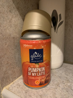 Glade сменный баллон Pumpkin Of my Latte, 269 мл #31, Ирина Б.