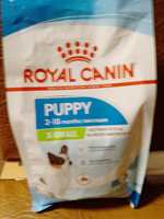 Сухой корм для щенков Royal Canin X-Small для миниатюрных пород, 500 г #47, Светлана С.