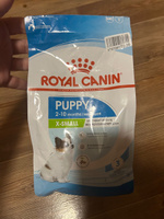 Сухой корм для щенков Royal Canin X-Small для миниатюрных пород, 500 г #37, Кристина Е.