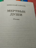 Мертвые души | Гоголь Николай Васильевич #5, Иван