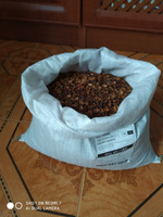 Скорлупа кедрового ореха 3 кг из самого сердца Алтая . Урожай 2022 года!!! #8, ALEXANDR P.